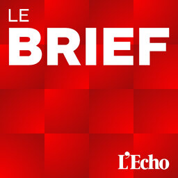 Le « Plan Trump » pour Gaza et les exigences du droit international